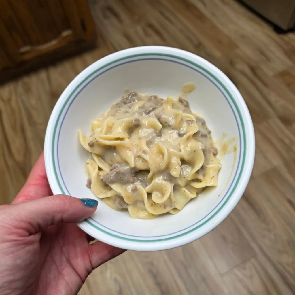 hamburger stroganoff recipe
