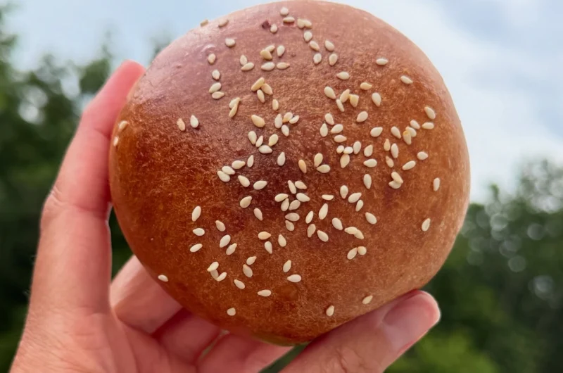 Sourdough Hamburger Buns Recipe: 6 Common Mistakes to Avoid