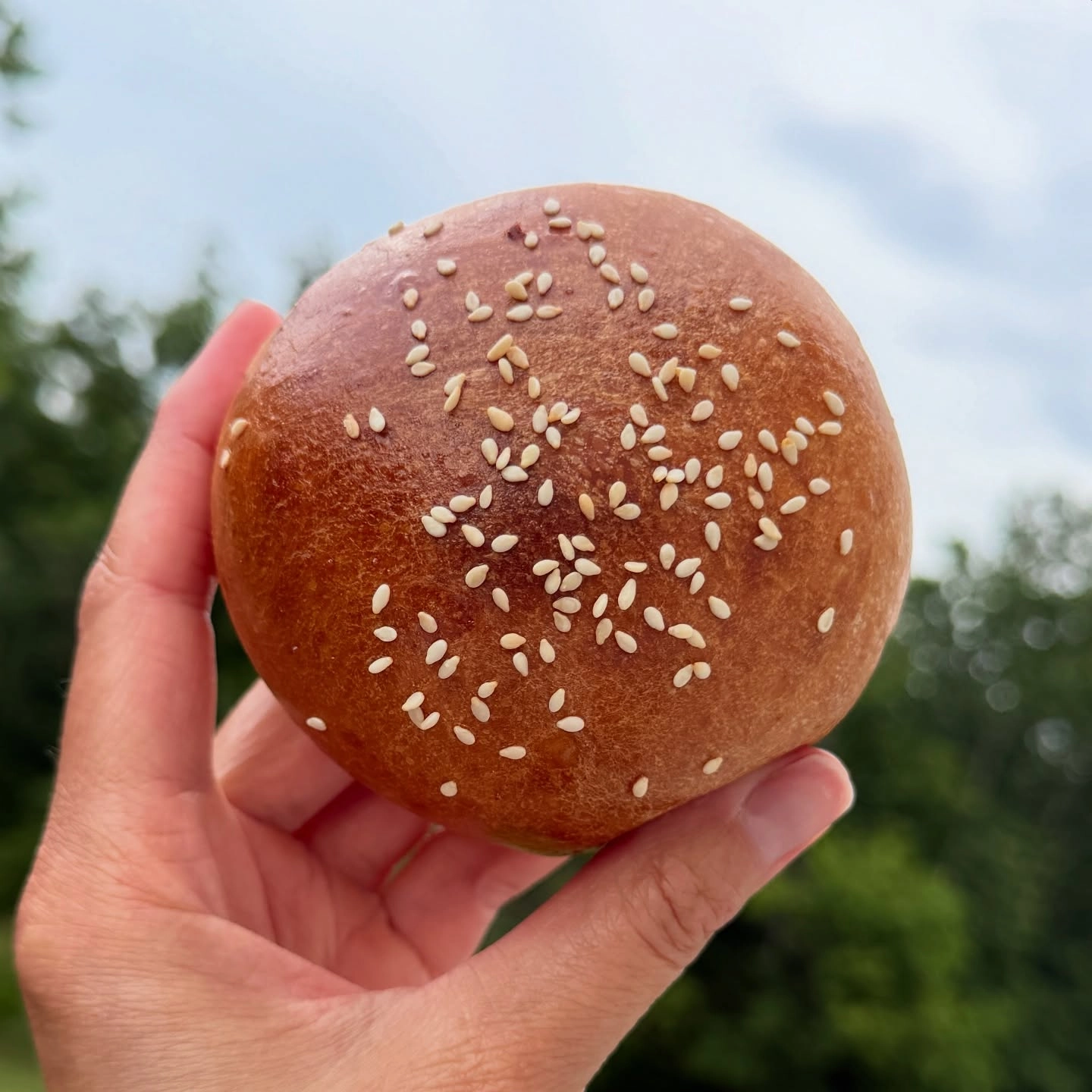 sourdough hamburger buns