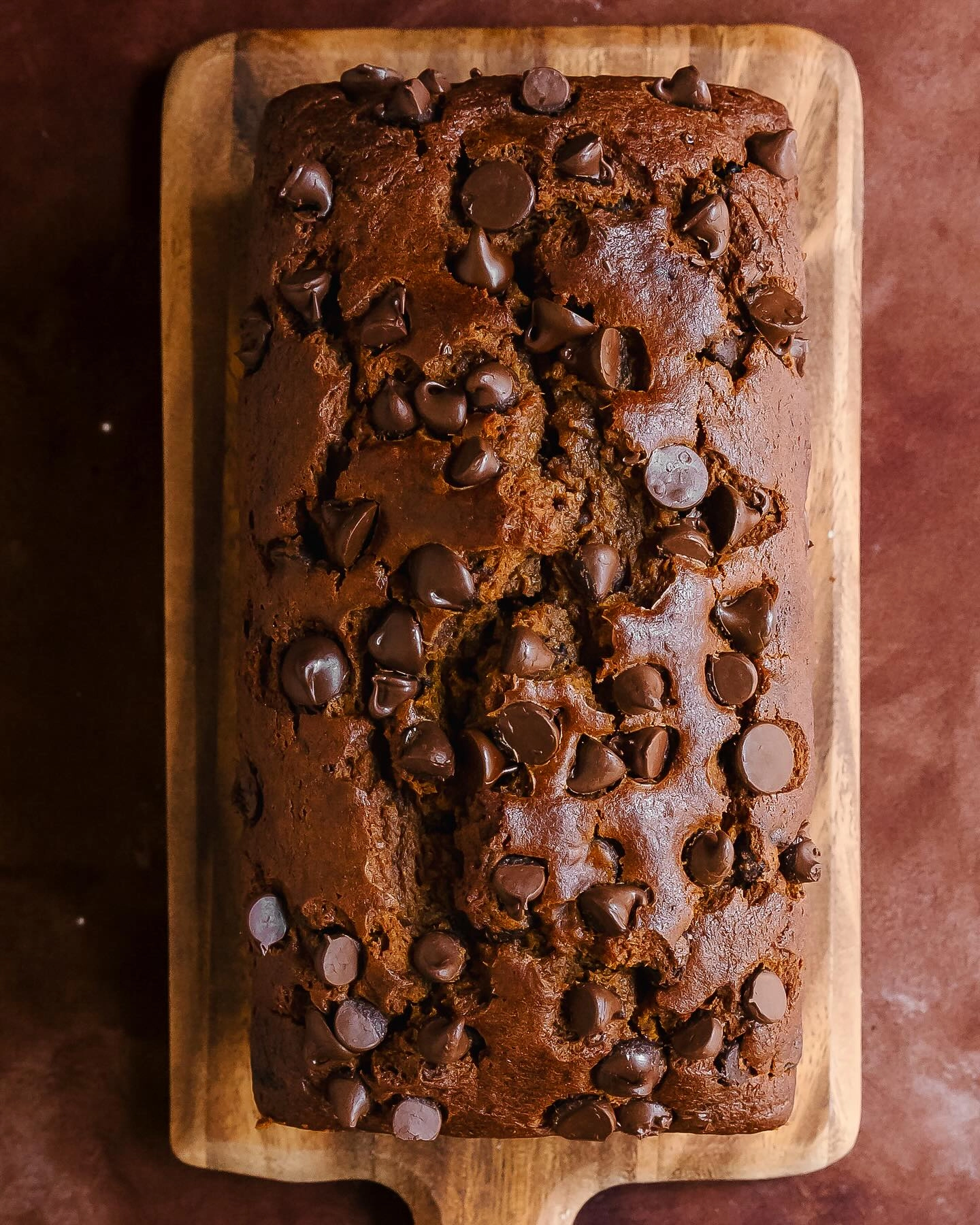 pumpkin chocolate chip bread recipe
